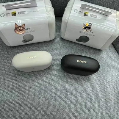 Sony WF-1000XM5 Wireless Earbuds - White and Black